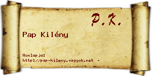 Pap Kilény névjegykártya